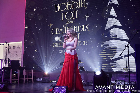 Новый год Profi NN