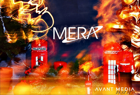 Новогодний праздник компании «MERA»